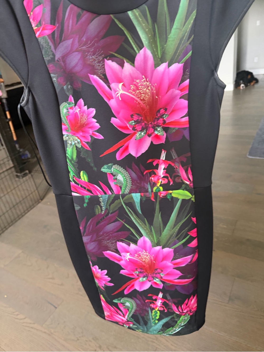 Ted Baker Black Dress with Pink Accent size 1 (fits xs)